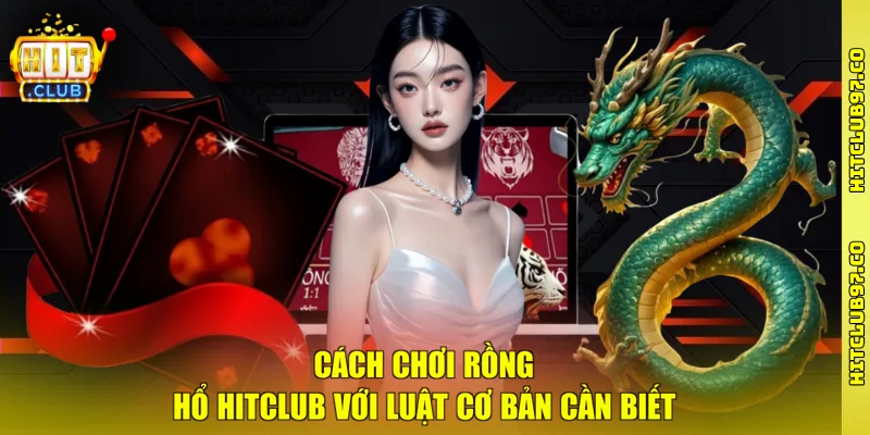 Cách chơi Rồng Hổ Hitclub với luật cơ bản cần biết