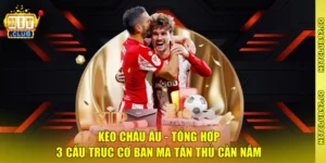 Kèo Châu Âu - Tổng Hợp 3 Cấu Trúc Cơ Bản Mà Tân Thủ Cần Nắm